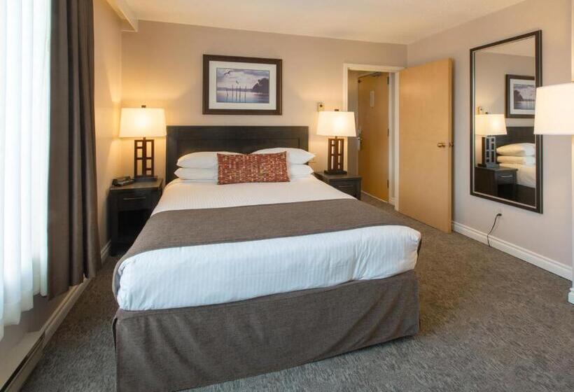 酒店 The Embassy Inn