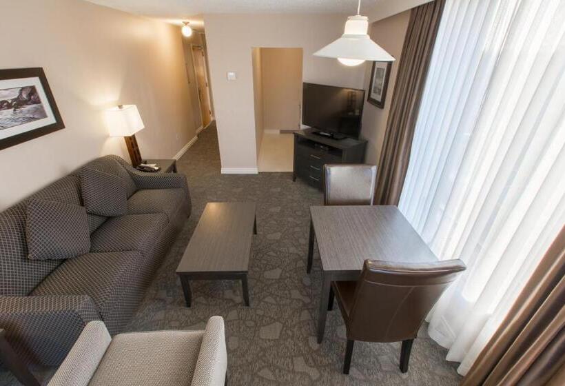 酒店 The Embassy Inn