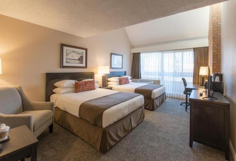 酒店 The Embassy Inn