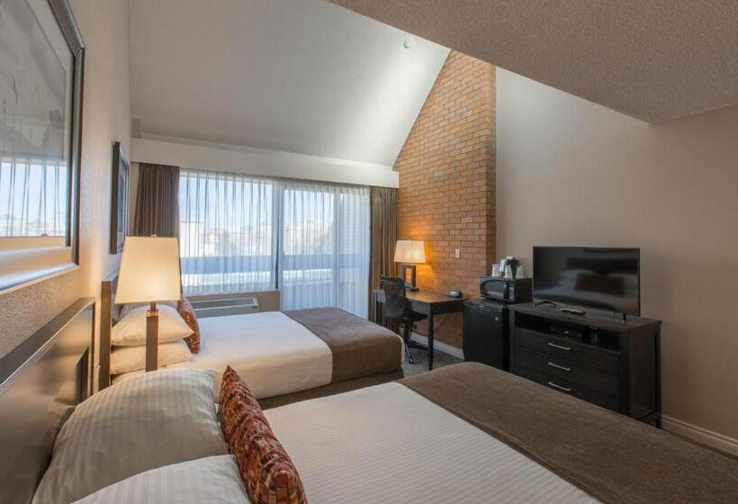 酒店 The Embassy Inn