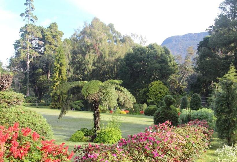 בית מלון כפרי The Hill Club