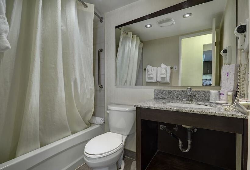 Отель Town Inn Suites