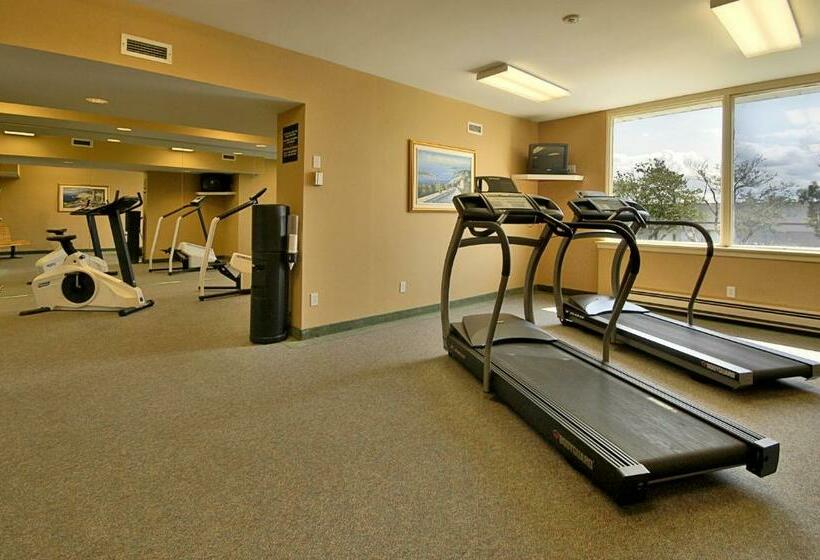 Travelodge Hotel By Wyndham Montreal Airport