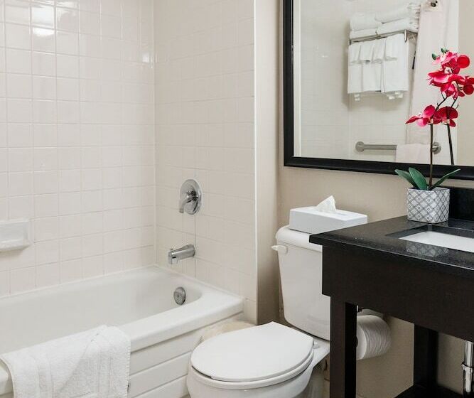 酒店 Travelodge By Wyndham Ottawa East