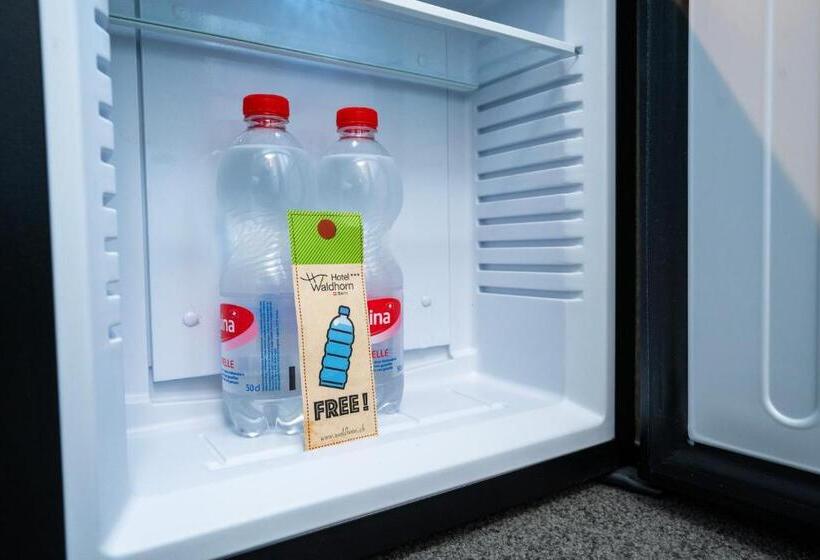 בית מלון כפרי Waldhorn