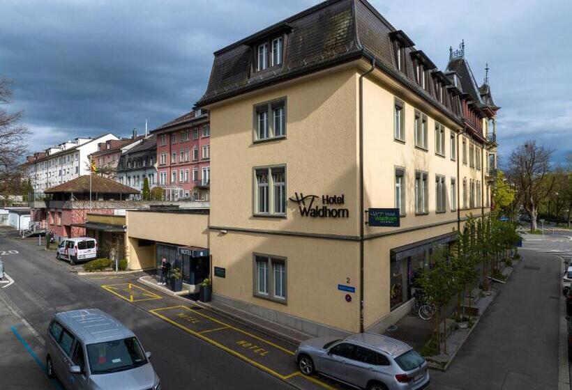 בית מלון כפרי Waldhorn