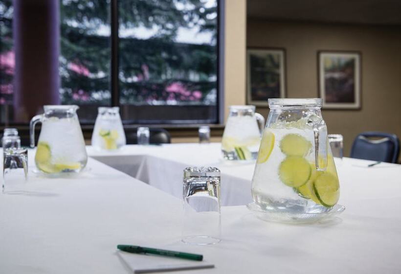 ホテル Whistler Village Inn & Suites