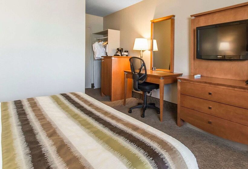 モーテル Quality Inn Rouynnoranda