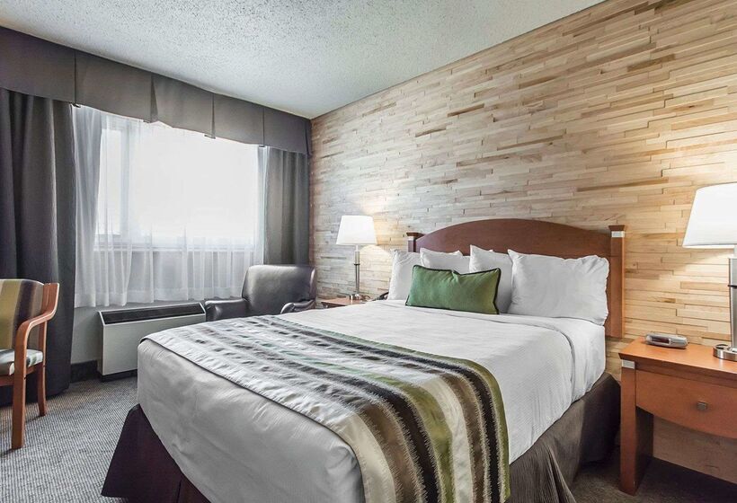 モーテル Quality Inn Rouynnoranda