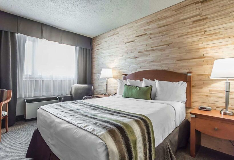 モーテル Quality Inn Rouynnoranda