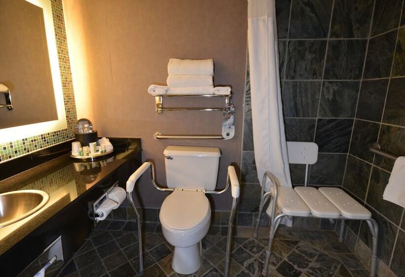 Ihotel & Conference Center Red Deer