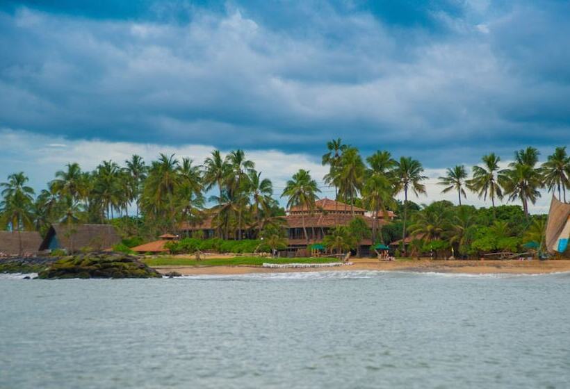 渡假胜地 Ranweli Holiday Village