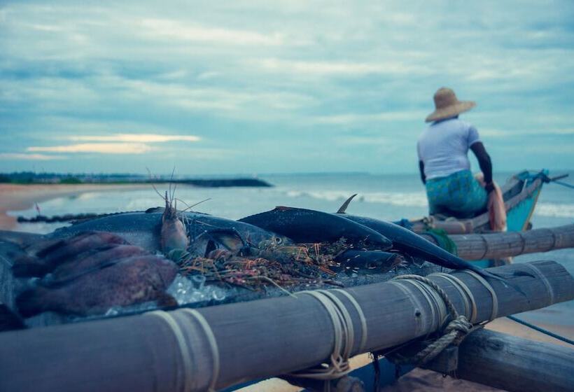 渡假胜地 Ranweli Holiday Village