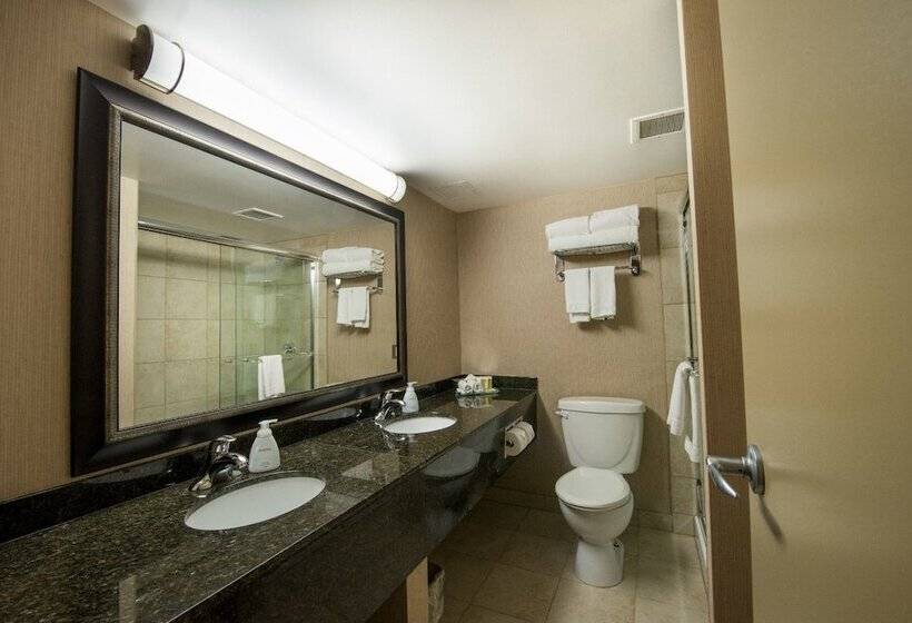 Superior Inn Hotel And Conference Centre Thunder Bay