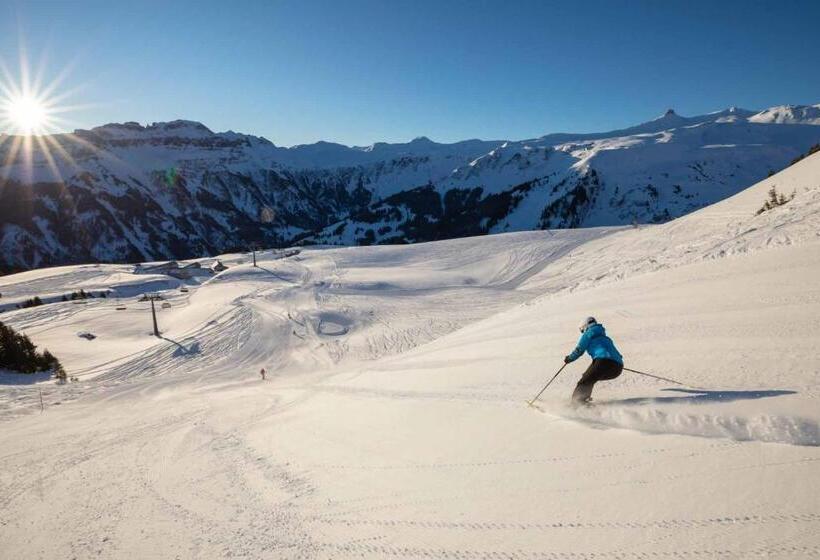 Alex Lake Zürich   Lifestyle Hotel And Suites