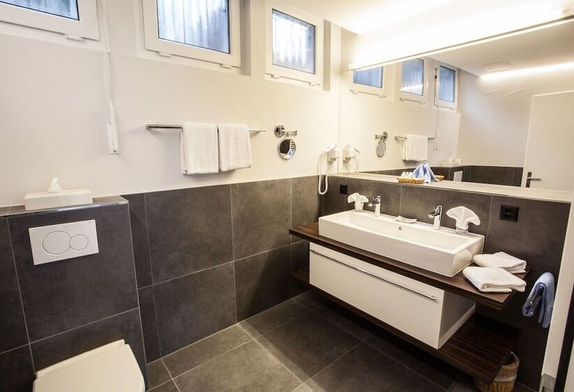 Garni Hotel Frohburg