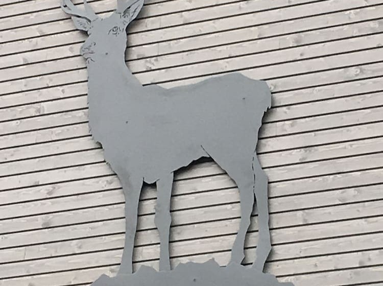 Hirschen Backpacker Hotel & Pub