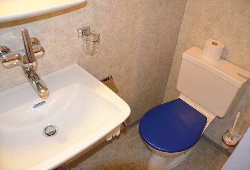 Hirschen Backpacker Hotel & Pub