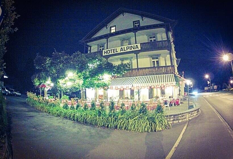 Отель Alpina