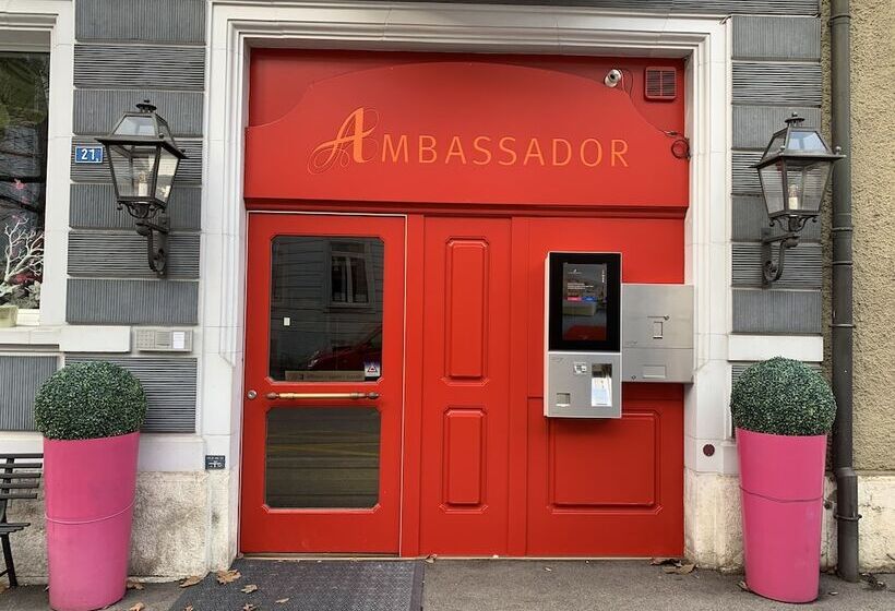 בית מלון כפרי Ambassador