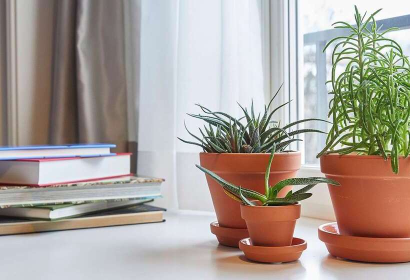 ホテル Anker Luzern