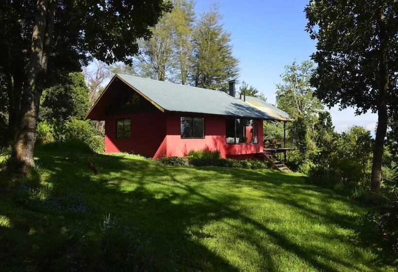 Отель Antumalal