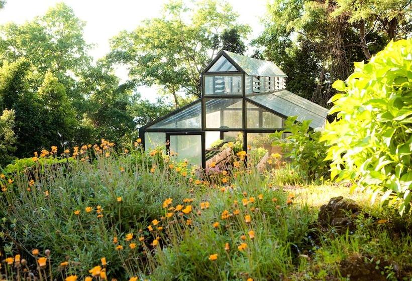 Отель Antumalal