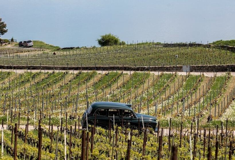 호텔 Beaurivage Palace