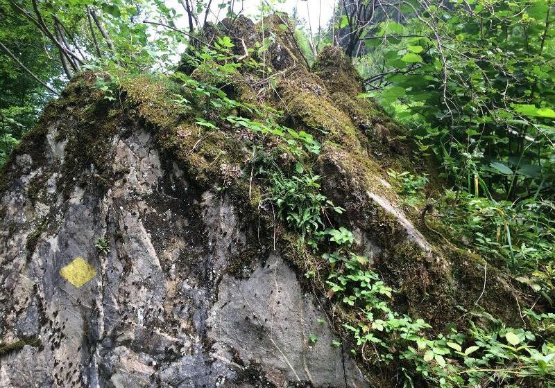 ホテル Bellevueterminus Urban Lifestyle