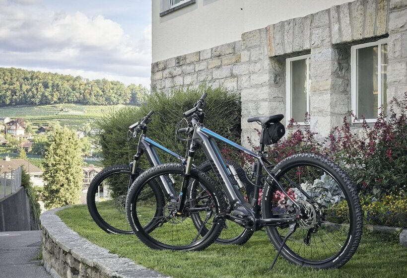 호텔 Belvédère Strand