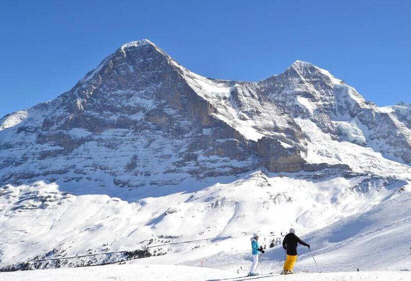 Alpenkräuter Hotel Bären