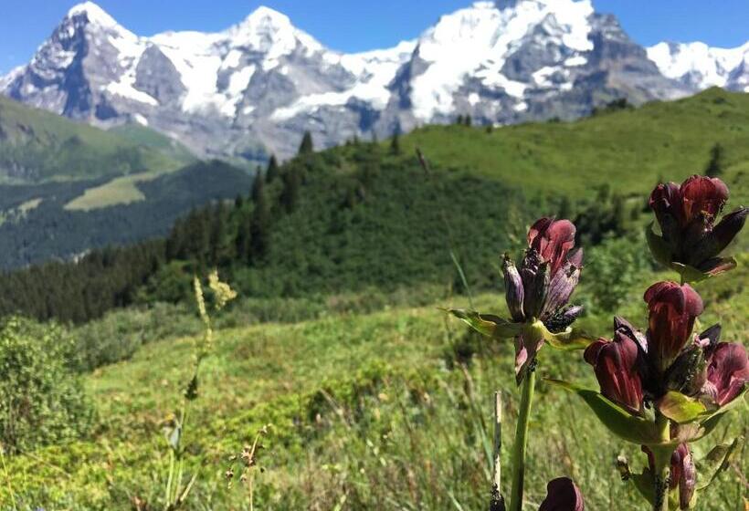 Alpenkräuter Hotel Bären