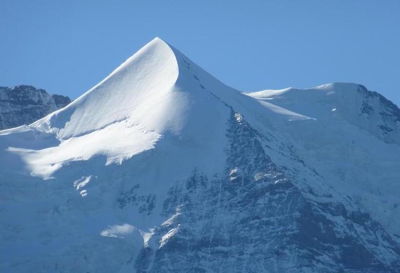 Alpenkräuter Hotel Bären
