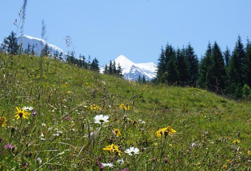Alpenkräuter Hotel Bären