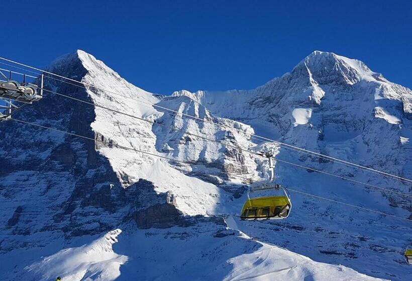 Alpenkräuter Hotel Bären