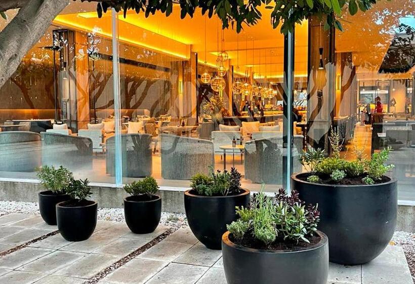 בית מלון כפרי Cabo De Hornos