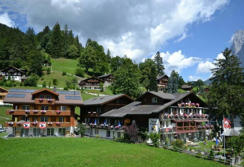 هتل Caprice  Grindelwald