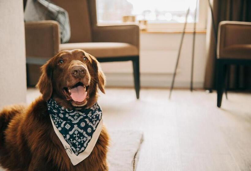 בית מלון כפרי Dakota