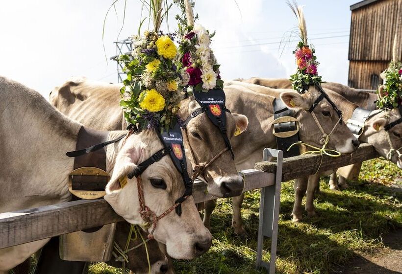 בית מלון כפרי Des Alpes