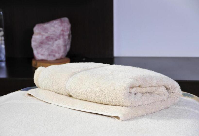 Hotel El Copihue Olmué