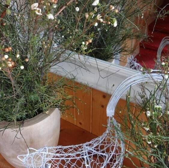 Отель Garni Hostatt