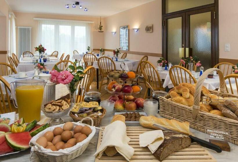 هتل Rondinella Locarno