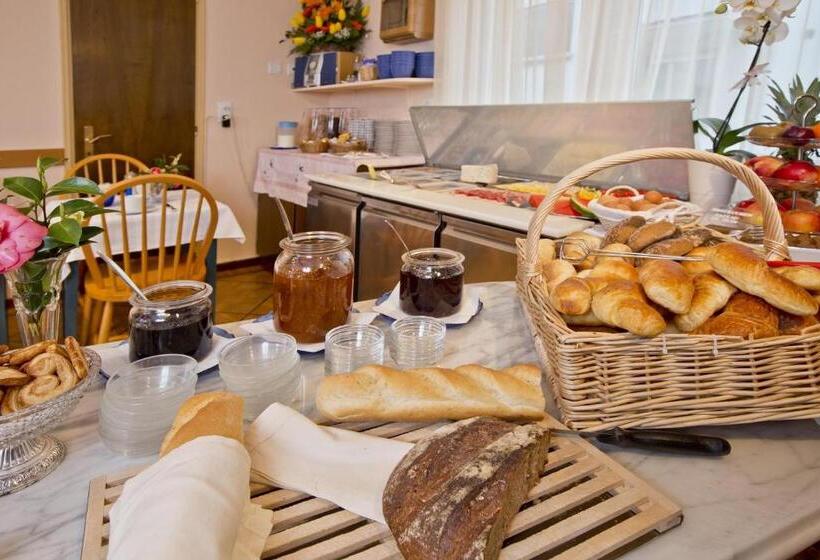 هتل Rondinella Locarno