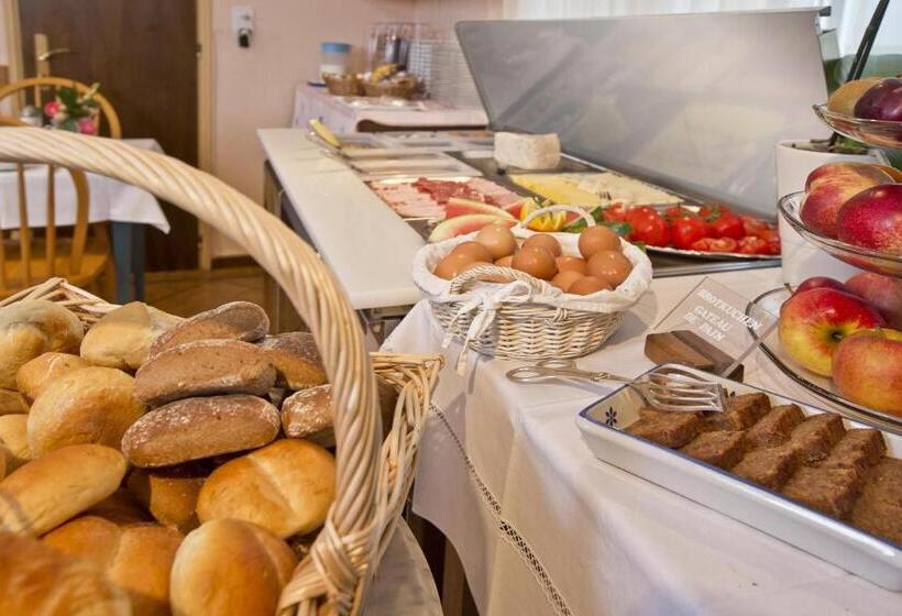 هتل Rondinella Locarno