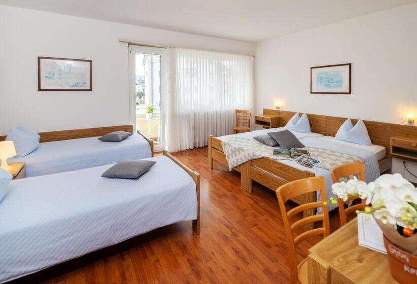 هتل Rondinella Locarno