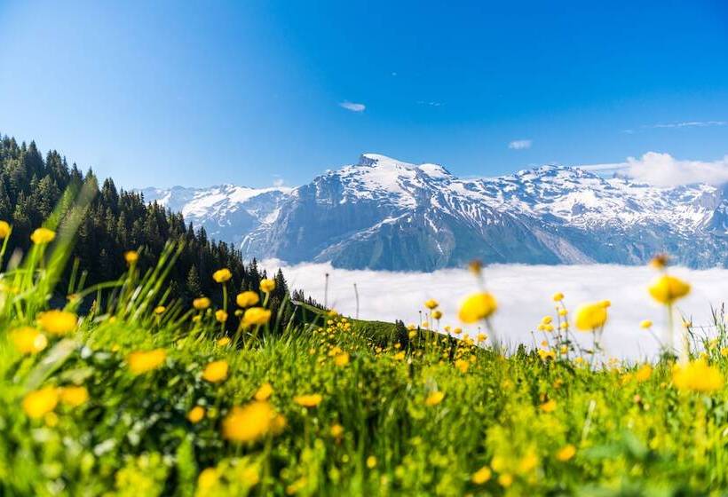 H+ Hotel & Spa Engelberg