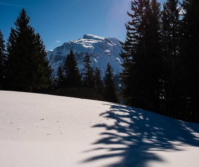 H+ Hotel & Spa Engelberg