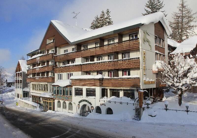 酒店 Hirschen Wildhaus