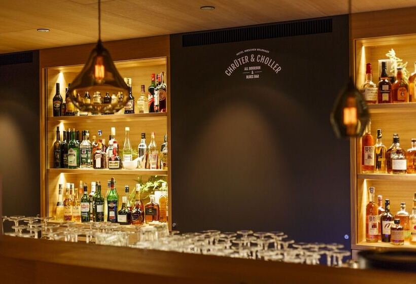 酒店 Hirschen Wildhaus