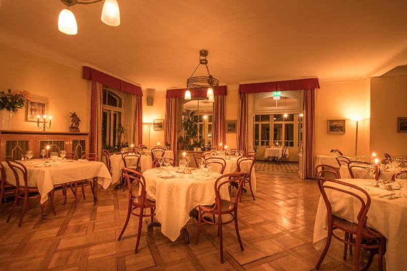 Historic Hotel Falken